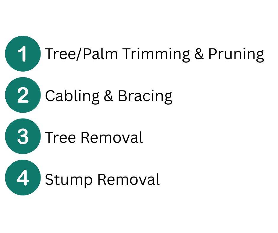 4 items (b)