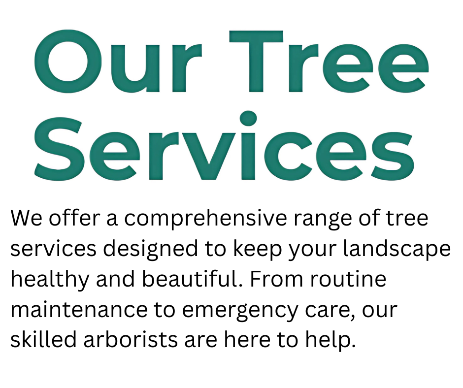 Our Tree Services